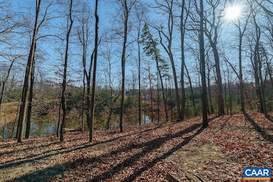 Lot 2 Handley Way unit 2, Afton, VA 22920 - photo 5