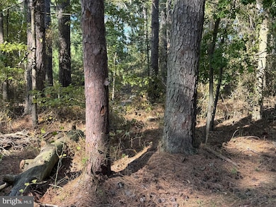 0 3rd Way, Scotland, MD 20687 - photo 3