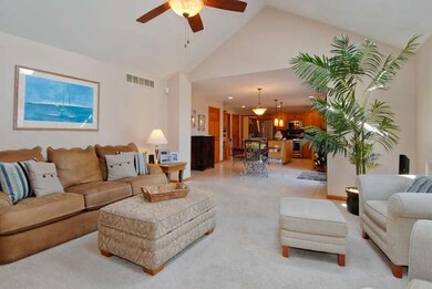 4408 Buttermilk Ct, Naperville, IL 60564 - photo 4