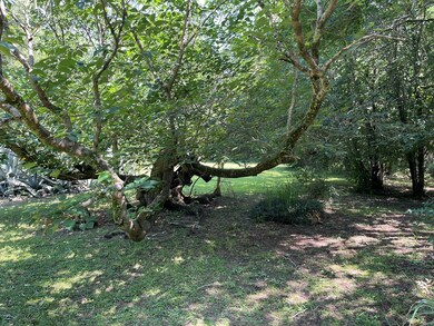 1794 Georgia 50, Georgetown, GA 39854 - photo 6