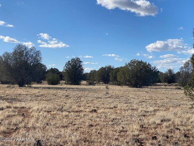 Meadow