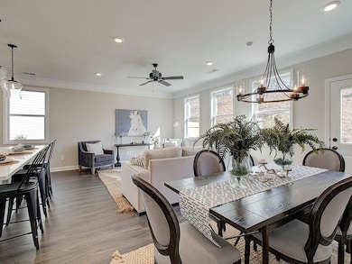 Representative of Model