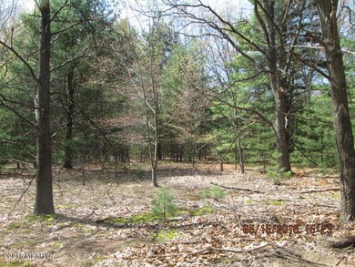 Kelly Bond property 007