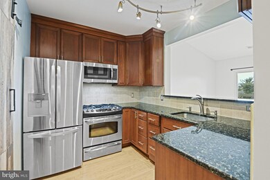 12915 Alton Square unit 416, Herndon, VA 20170 - photo 4