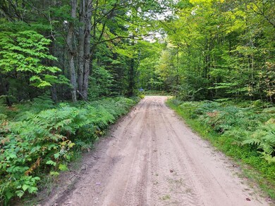 Ches dirt rd
