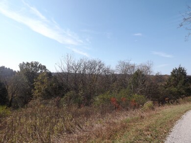 1 Stella Church Rd, Prospect, TN 38477 - photo 3