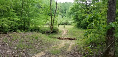 2079 Swindle Creek Rd, Linden, TN 37096 - photo 2