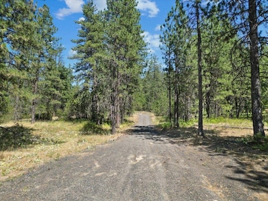 NKA Weaver Way unit Lot 2 of Lot 1, Deer Park, WA 99006 - photo 7