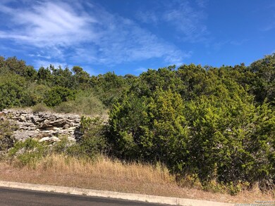 11257 Condor Pass, Helotes, TX 78023 - photo 4