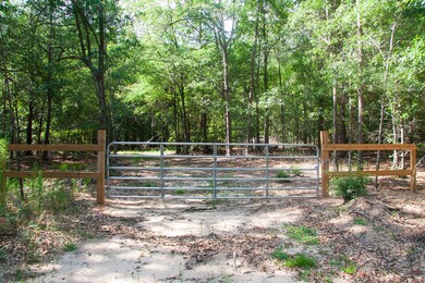 Springhill C_01