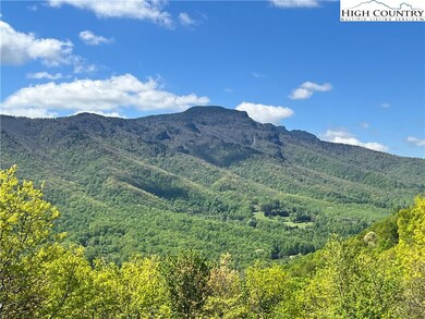 Look at that Grandfather Mountain View
