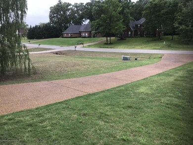 Lot view