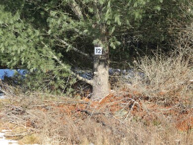 12 Canaan St unit Lot 12, Orange, NH 03741 - photo 2