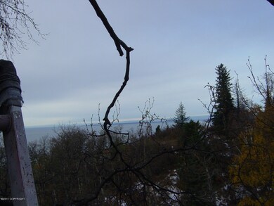 View from Lot