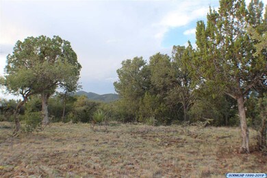 10 Rocky Creek Rd, Silver City, NM 88061 - photo 6