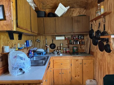 N7411 N Gould City Rd, Gould City, MI 49838 - photo 3