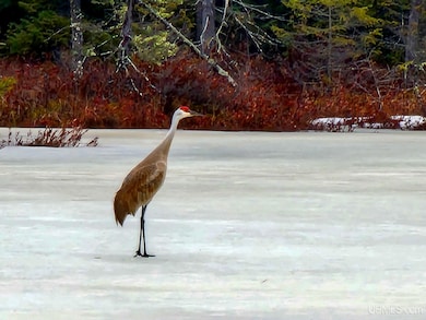 2920 Bywater Ln, Republic, MI 49879 - photo 7