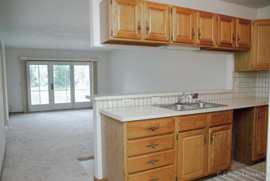 Kitchen with Living area view