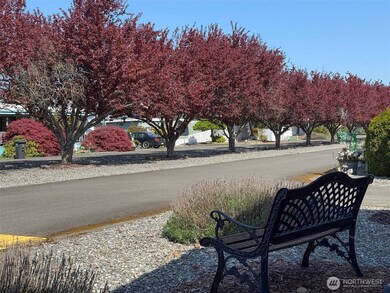 610 W Spruce St unit 124, Sequim, WA 98382 - photo 2