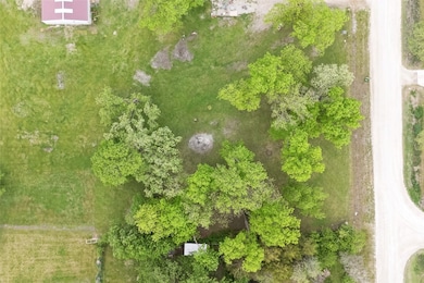 Lush, Mature Trees