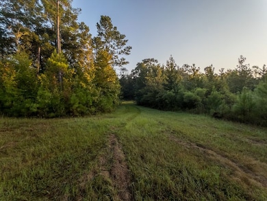 254 Putnam Rd unit LotWP001, Pickens, MS 39146 - photo 7