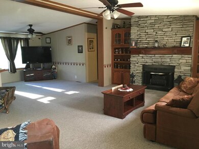 742 Sir Johns Run Rd, Berkeley Springs, WV 25411 - photo 5