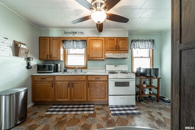 1529 Pekin St, Lincoln, IL 62656 - photo 7