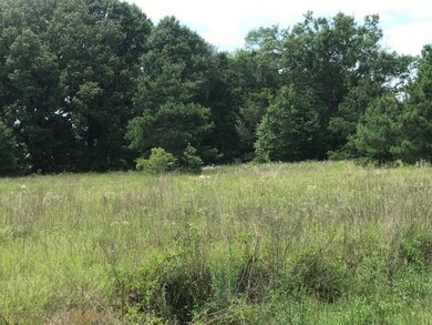 952 Jw Warren Rd, East Dublin, GA 31027 - photo 6