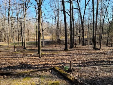 View Facing Hwy 196 of Front Yard