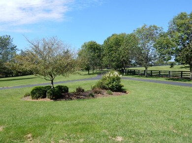 790 Elliston Ln, Versailles, KY 40383 - photo 6