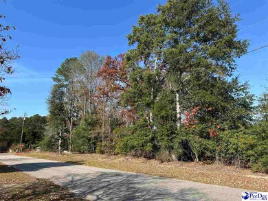 Lot 57 Berry Rd, Latta, SC 29565 - photo 2