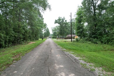 00 Willow St, Cleveland, TX 77328 - photo 7