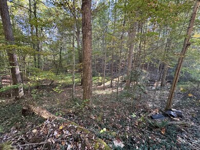 120 Horizon Ln, Lester, WV 25865 - photo 5