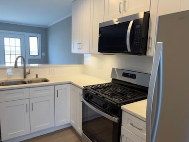 529 Pheasant Ct unit 2, Grayslake, IL 60030 - photo 5