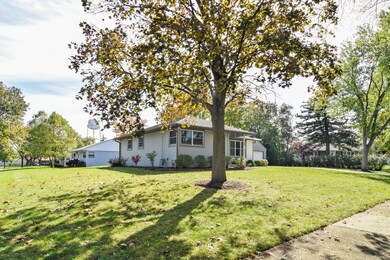 Great sized yard!
