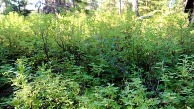 Stone River Lots-15