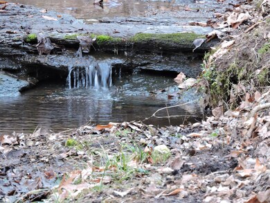 482 Little Possum Creek Rd, Linden, TN 37096 - photo 3