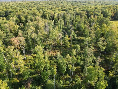 0 Million Dollar Hwy unit 1, Kersey, PA 15846 - photo 6