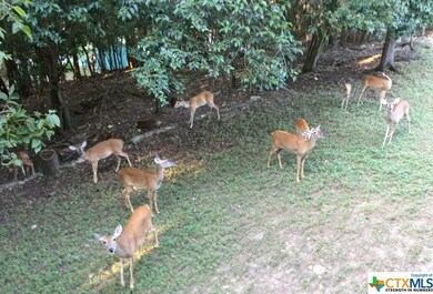 814 N Loop St, San Marcos, TX 78666 - photo 5