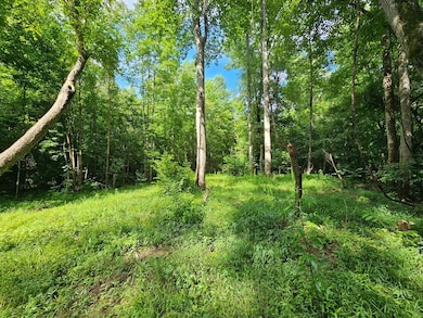 0 Hutcheson Road Off, Temple, GA 30179 - photo 2