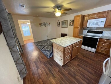 7118 Back Forty Ct, Granbury, TX 76049 - photo 4