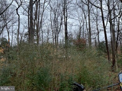 0 Sandy Ct unit MDSM2005482, Mechanicsville, MD 20659 - photo 2