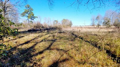 33 Buckley Rd, Laurel, MS 39443 - photo 5