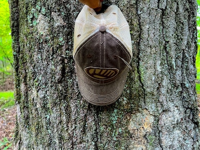 47/7 Do Rd unit Lot WP001, Harrisville, WV 26362 - photo 3