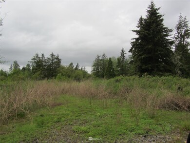 0 XXXX Loomis Trail Rd, Blaine, WA 98230 - photo 3