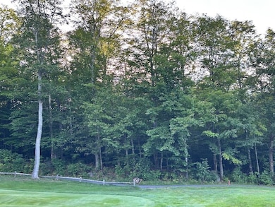 6099 All Village On the Green Rd, Carrabassett Valley, ME 04947 - photo 3