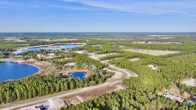 14744 Bream Pond Rd, Panama City, FL 32409 - photo 6