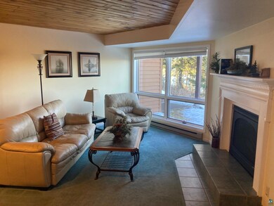 1611 Superior Shores Dr unit 57B, Two Harbors, MN 55616 - photo 3
