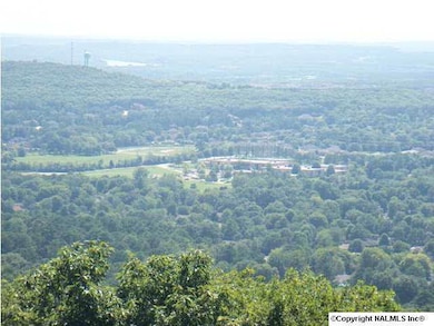 2892 Green Mountain Rd SE, Huntsville, AL 35803 - photo 2