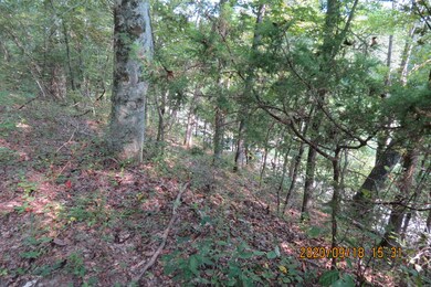 257 Selph Rd, Stewart, TN 37175 - photo 3